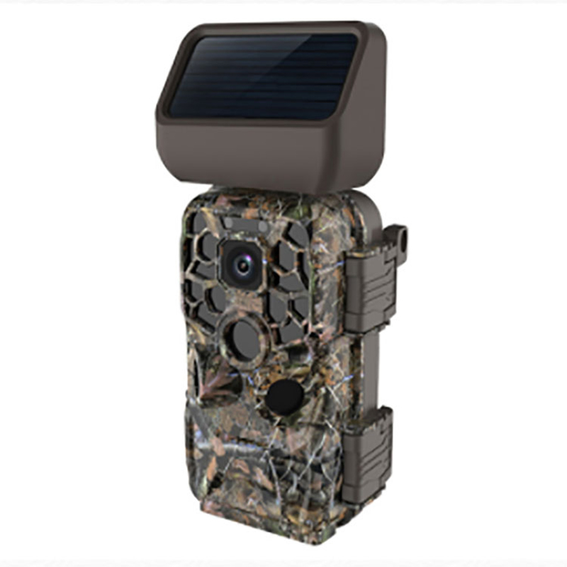 Kamera Pemburuan Wireless Wireless 4K 1080p 24 MP Foto 4 MP